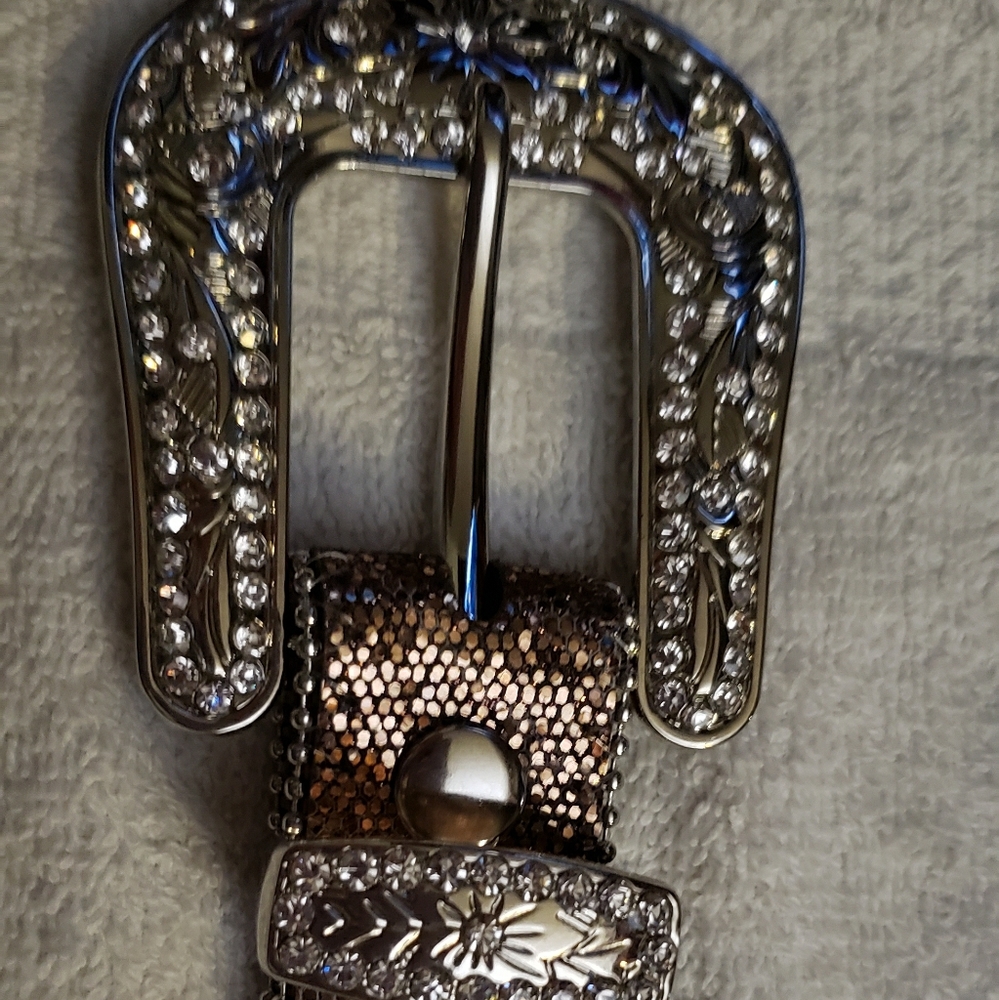 Montana Rhinestone Belt with horse shoes